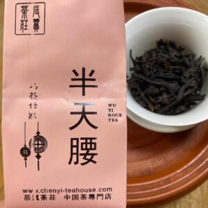 2025年春　半天腰（はんてんよう）