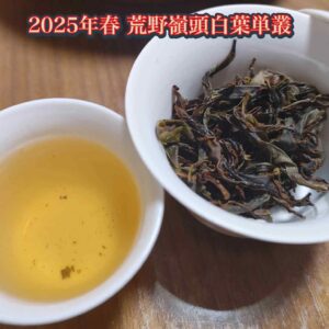 2025年春荒野老叢嶺頭白葉単叢 こうやろうそうれいとうはくようたんそう