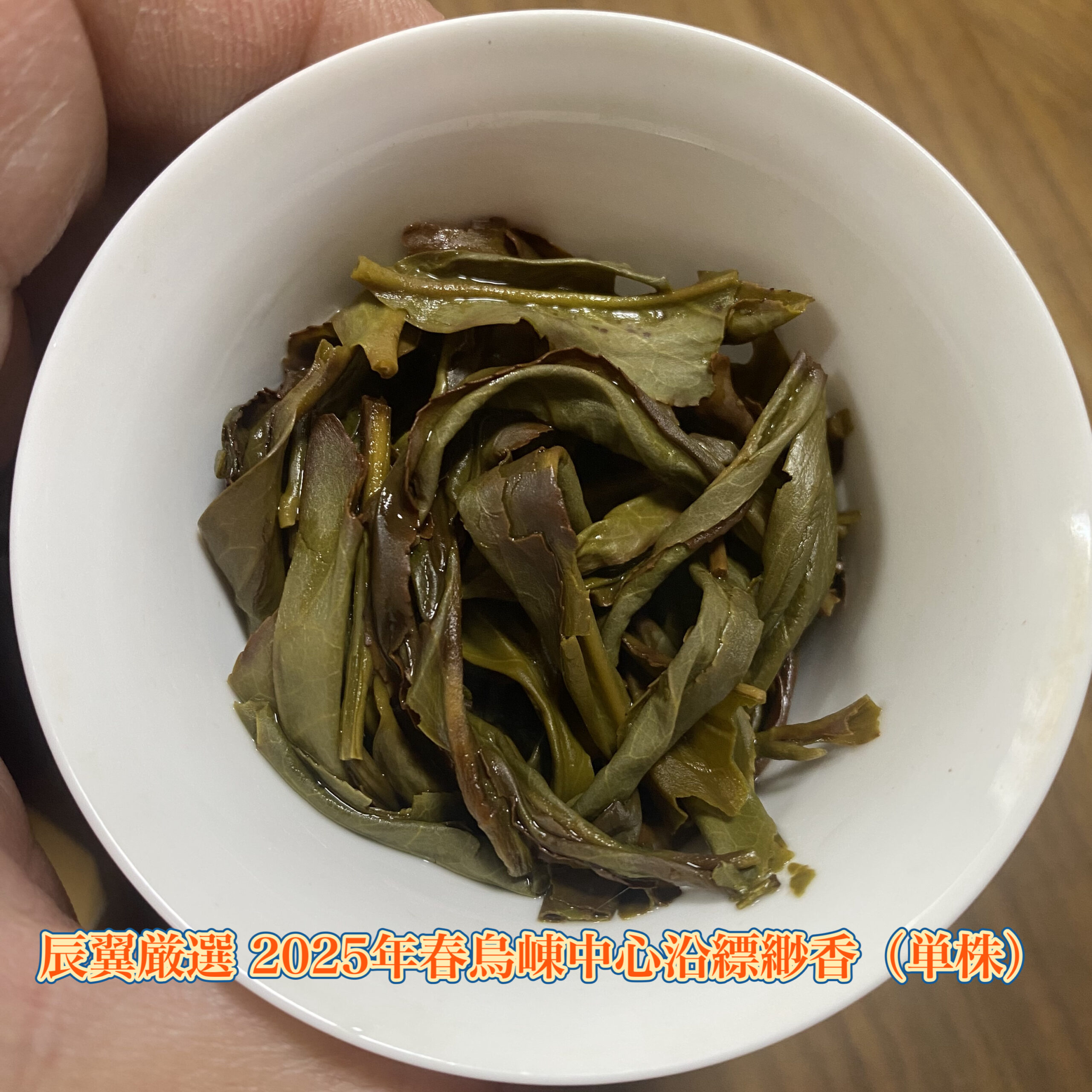辰翼厳選 2025年春 烏崠中心沿古樹縹緲香(単株) うーとん ちゅうしんえん ひょびょうこう(たんしゅ) - 画像 (3)