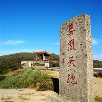 辰翼厳選 2025年春 烏崠中心沿古樹縹緲香(単株) うーとん ちゅうしんえん ひょびょうこう(たんしゅ) - 画像 (4)