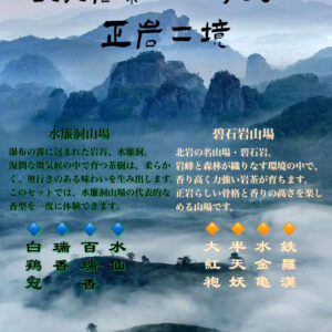 新品武夷岩茶 正岩二境飲み比べ企画